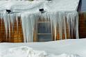 Icicles (5)